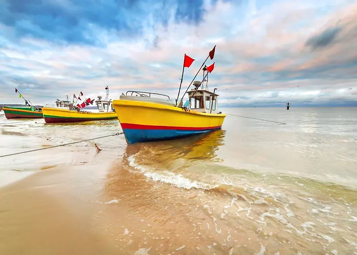 Platinum - Chmielewskiego